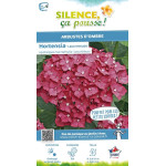 Hortensia Leuchtfeuer 85cm Silence ca pousse de Plantes Silence ça pousse dans Plantes à petits fruits (kiwi, myrtilles, gros...