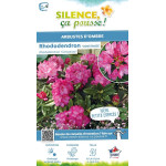 RHODO HYB,CONSTANZE C7 de Plantes Silence ça pousse dans Plantes à petits fruits (kiwi, myrtilles, groseilles, cassis, frambo...