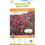 Groseillier a fleurs RED BROSS 80cm de Plantes Silence ça pousse dans Arbustes caducs en livraison