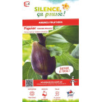 FIGUIER OSBORN PROLIFIC C10 TF/BU de Plantes Silence ça pousse dans Fruitiers en livraison