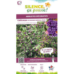 Callicarpa de Bodinier IMPERIAL PEARL 120cm de Plantes Silence ça pousse dans Arbustes caducs en livraison