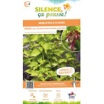 Arbre aux faisans dore 120cm Silence ca pousse de Plantes Silence ça pousse dans Arbustes caducs en livraison