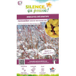 Cornouiller sanguin Midwinter Fire 80cm de Plantes Silence ça pousse dans Arbustes caducs en livraison