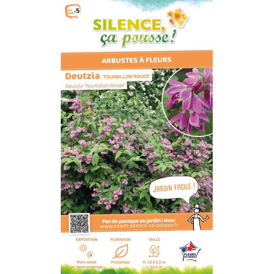 Deutzia Tourbillon Rouge Strawberry Fields 100 de Plantes Silence ça pousse dans Arbustes caducs en livraison