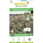 ABELIA GR,SPARKLING SILVER C10 TF/BU de Plantes Silence ça pousse dans Arbustes persistants en livraison