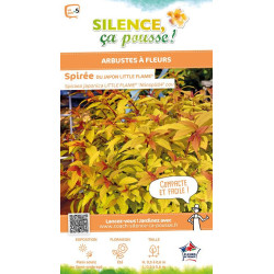 SPIRAEA J,LITTLE FLAME C4,5 TF/BU de Plantes Silence ça pousse dans Arbustes caducs en livraison