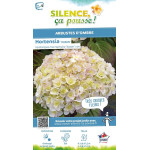Hortensia Kazan 50cm Silence ca pousse de Plantes Silence ça pousse dans Plantes à petits fruits (kiwi, myrtilles, groseilles...