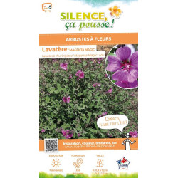 Lavatere Magenta Magic 100cm Silence ca pousse de Plantes Silence ça pousse dans Arbustes persistants en livraison