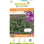 Lavatere Magenta Magic 100cm Silence ca pousse de Plantes Silence ça pousse dans Arbustes persistants en livraison