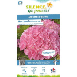 Hortensia BIG DATA PINK 100cm Silence ca pousse de Plantes Silence ça pousse dans Plantes à petits fruits (kiwi, myrtilles, g...