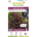 Physocarpus a feuilles dobier BLACK LIGHT 140 de Plantes Silence ça pousse dans ZZ hortival