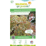 Abelia TRICOLOR CHARM 65cm Silence ca pousse de Plantes Silence ça pousse dans Arbustes persistants en livraison
