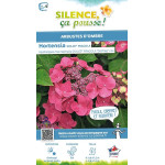 Hortensia DOLCE FRAGOLA 85cm Silence ca pousse de Plantes Silence ça pousse dans Plantes à petits fruits (kiwi, myrtilles, gr...