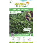 Sarcococca confus 100cm Silence ca pousse de Plantes Silence ça pousse dans Arbustes persistants en livraison