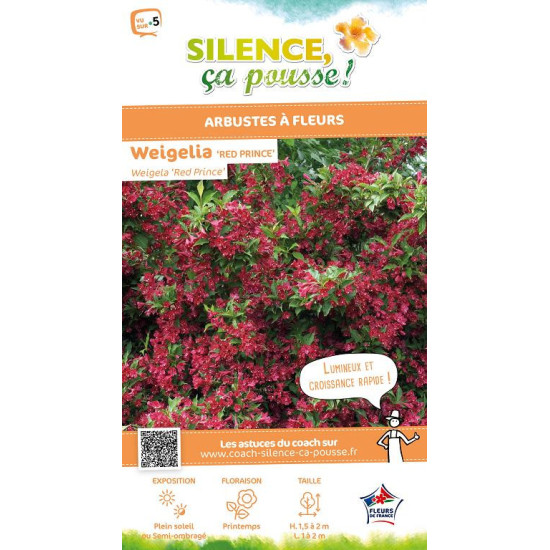 WEIGELA RED PRINCE C4,5 TF/BU de Plantes Silence ça pousse dans Arbustes caducs en livraison