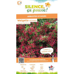 WEIGELA RED PRINCE C4,5 TF/BU de Plantes Silence ça pousse dans Arbustes caducs en livraison