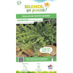 JUNIPERUS CONF,SLAGER C4,5 de Plantes Silence ça pousse dans Conifères de rocailles en livraison