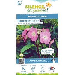Hortensia Zorro rose 50cm Silence ca pousse de Plantes Silence ça pousse dans Plantes à petits fruits (kiwi, myrtilles, grose...