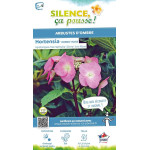 Hortensia Zorro rose 50cm Silence ca pousse de Plantes Silence ça pousse dans Plantes à petits fruits (kiwi, myrtilles, grose...