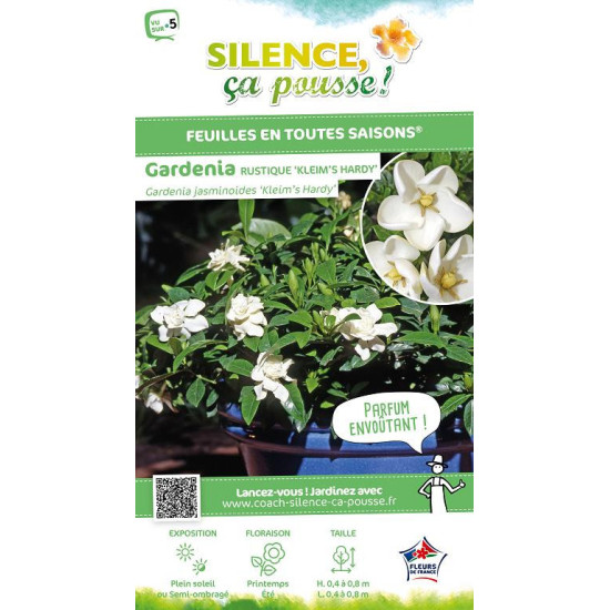 GARDENIA JASM,KLEIMS HARDY C4,5 TF/BU de Plantes Silence ça pousse dans Plantes à petits fruits (kiwi, myrtilles, groseilles,...