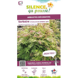 Sorbaire a feuilles de sorbier Sem 80cm de Plantes Silence ça pousse dans Arbustes caducs en livraison