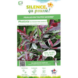 Photinia Pink Marble 80cm Silence ca pousse de Plantes Silence ça pousse dans Arbustes persistants en livraison