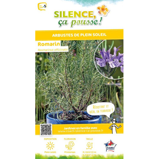 Romarin officinal 65cm Silence ca pousse de Plantes Silence ça pousse dans Arbustes persistants en livraison
