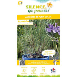 Romarin officinal 65cm Silence ca pousse de Plantes Silence ça pousse dans Arbustes persistants en livraison