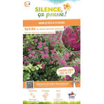 Spiree du Japon Anthony Waterer 80cm de Plantes Silence ça pousse dans Arbustes caducs en livraison