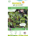 Troene du Japon 120cm Silence ca pousse de Plantes Silence ça pousse dans ZZ hortival