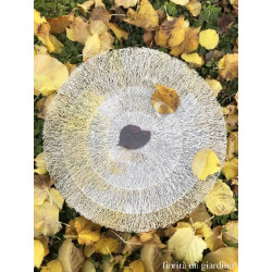 Set de table tresse argente d38cm de Jardinerie Bordeaux Libourne Gironde dans Set de table