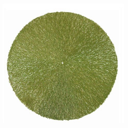 Set de table tresse vert d38cm de Jardinerie Bordeaux Libourne Gironde dans Set de table