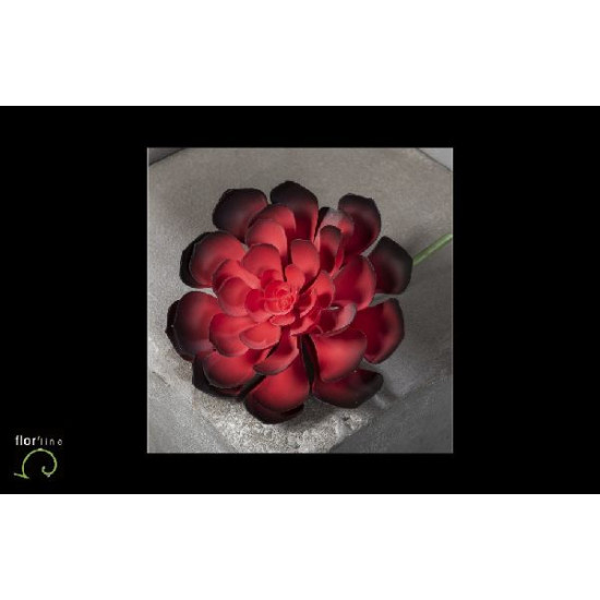 Aeonium 24cm bordeaux de Fleur artificielle dans Fleur artificielle