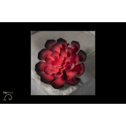 Aeonium 24cm bordeaux de Fleur artificielle dans Fleur artificielle