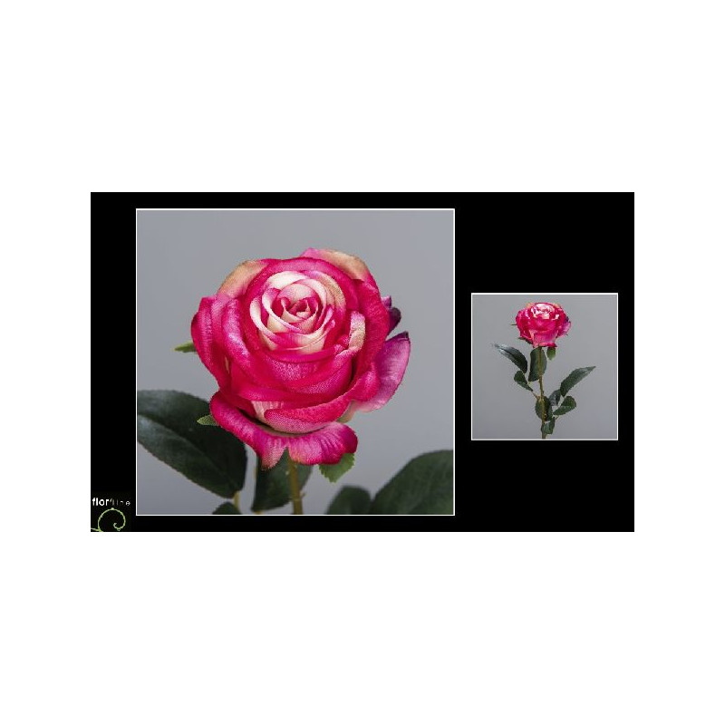 Tige rose ouverte 64cm fuchsia de Fleur artificielle dans Fleur artificielle