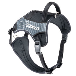 Genius p ex large - harnais noir de Ferplast - cage pour oiseaux et rongeurs dans Harnais pour chien