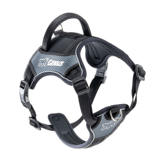 Genius p medium - harnais noir de Ferplast - cage pour oiseaux et rongeurs dans Harnais pour chien