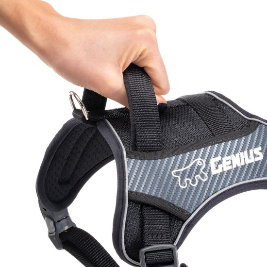 Genius p medium - harnais noir de Ferplast - cage pour oiseaux et rongeurs dans Harnais pour chien