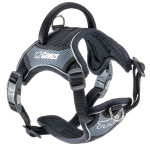 Genius p small - harnais noir de Ferplast - cage pour oiseaux et rongeurs dans Harnais pour chien