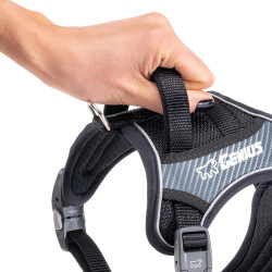 Genius p small - harnais noir de Ferplast - cage pour oiseaux et rongeurs dans Harnais pour chien