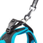 Kaori xl noir bleu - harnais de Ferplast - cage pour oiseaux et rongeurs dans Harnais pour chien