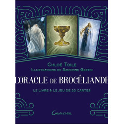 L'oracle de brocéliande - livre + jeu 53 cartes de Herboristerie et Esotérisme à Libourne dans 🃏 Livres ésotériques, tarots, ...