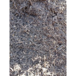 Fumier de cheval ensemence sac 8 kg enrichisol de SOBAC - Bacteriosol - engrais bio dans Amendement de fond