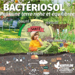 Fumier de cheval ensemence sac 8 kg enrichisol de SOBAC - Bacteriosol - engrais bio dans Amendement de fond