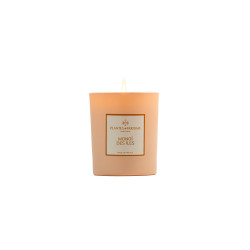 Bougie parfumee monoi des iles 180g de Plantes & Parfums dans Bougie parfumée