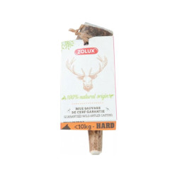 Bois de cerf entier xs pour chien de Zolux - Produit pour animaux dans Jouets pour chiens