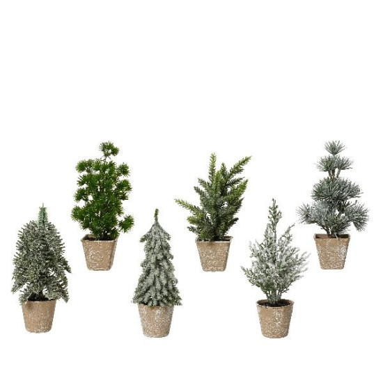 Mini-arbre assorti 6ass vert l8cm x h20cm noël de Déco de Noël - Jardinerie Bordeaux et Libourne dans 🏘️Villages miniatures