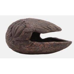 Abri reptiles déco oeuf brun s de Superfish - Aquadistri - accessoires pour aquarium et bassin dans Cachette pour reptiles