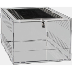 Terrarium clear 30x20x15.5 de Superfish - Aquadistri - accessoires pour aquarium et bassin dans Terrariums – Vivariums