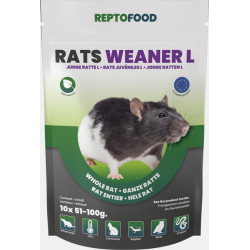 Repto rats juvéniles l 51-100g 10pcs de Superfish - Aquadistri - accessoires pour aquarium et bassin dans Alimentation Vivant...